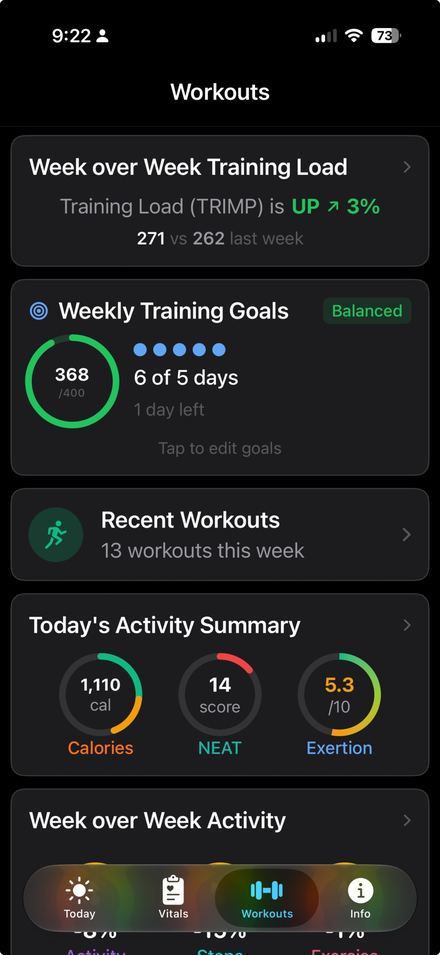 Workout tab listing recent training sessions and load.